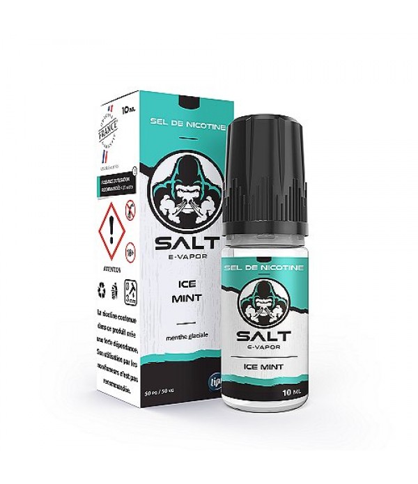 Ice Mint Salt E Vapor 10ml